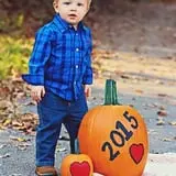 Trunnell's Farm Market Corn Maze & Fun Acre photo