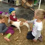 Trunnell's Farm Market Corn Maze & Fun Acre photo