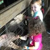 Trunnell's Farm Market Corn Maze & Fun Acre photo