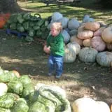 Trunnell's Farm Market Corn Maze & Fun Acre photo