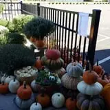 Trunnell's Farm Market Corn Maze & Fun Acre photo