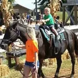 Trunnell's Farm Market Corn Maze & Fun Acre photo