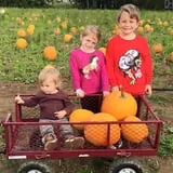 Noble Family Farms photo