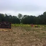 Noble Family Farms photo