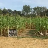 Noble Family Farms photo