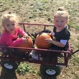 Noble Family Farms photo