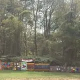 Noble Family Farms photo