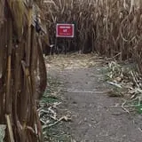 Noble Family Farms photo
