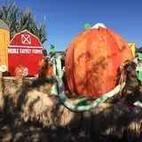 Noble Family Farms photo