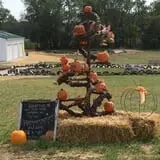 Noble Family Farms photo