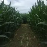 Noble Family Farms photo