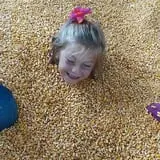 Noble Family Farms photo