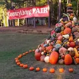 Stone Mountain Park Pumpkin Festival photo