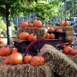 Stone Mountain Park Pumpkin Festival photo