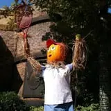 Stone Mountain Park Pumpkin Festival photo