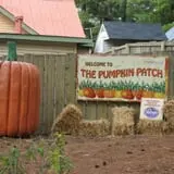 Stone Mountain Park Pumpkin Festival photo