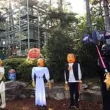 Stone Mountain Park Pumpkin Festival photo
