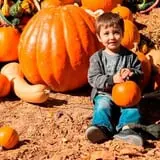 Stone Mountain Park Pumpkin Festival photo