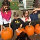 Butler Tree Farm photo