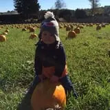 Butler Tree Farm photo