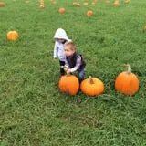 Butler Tree Farm photo