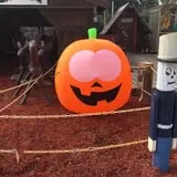Butler Tree Farm photo