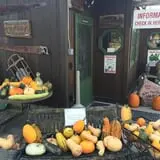 Butler Tree Farm photo