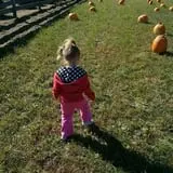Butler Tree Farm photo