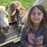 Butler Tree Farm photo
