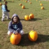 Butler Tree Farm photo