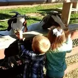 Butler Tree Farm photo