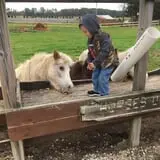 Butler Tree Farm photo