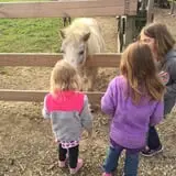 Butler Tree Farm photo
