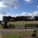 Butler Tree Farm photo