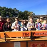 Butler Tree Farm photo
