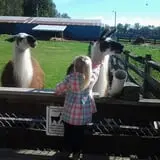 Butler Tree Farm photo