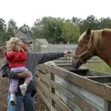 Butler Tree Farm photo