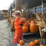 Butler Tree Farm photo