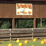 Butler Tree Farm photo