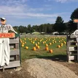 Butler Tree Farm photo