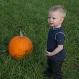 Butler Tree Farm photo