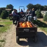 Butler Tree Farm photo