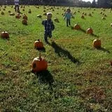 Butler Tree Farm photo
