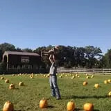 Butler Tree Farm photo