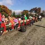 Butler Tree Farm photo