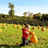 Butler Tree Farm photo