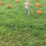 Butler Tree Farm photo