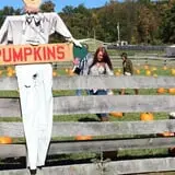 Butler Tree Farm photo