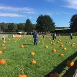 Butler Tree Farm photo