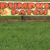 Butler Tree Farm photo